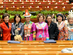 政协开幕会上的民族风 