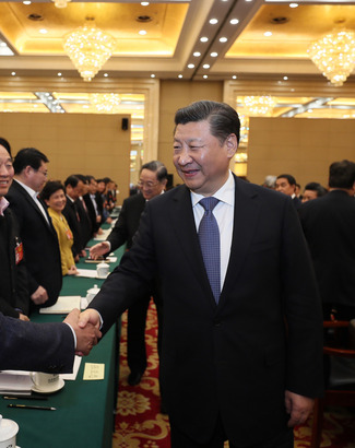 习近平看望民进、农工党、九三学社界委员并参加讨论