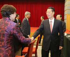 张高丽看望致公、侨联、对外友好界委员并参加讨论