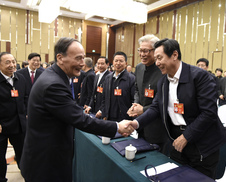王岐山看望共青团、总工会、妇联、青联界委员并参加讨论