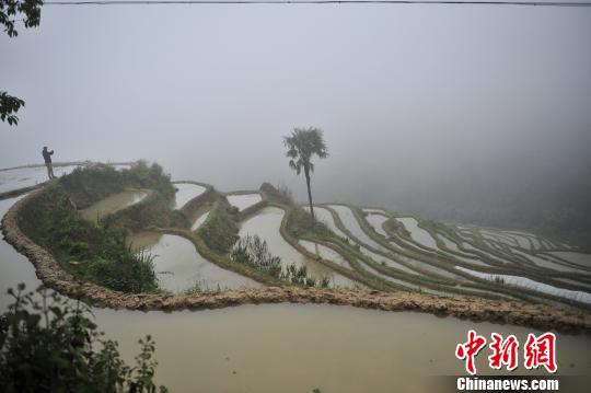 探访世界遗产哈尼梯田：遭遇农业人口外流危机