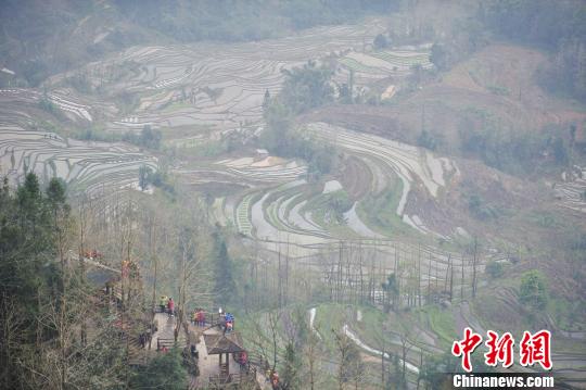大雾中的世界遗产哈尼梯田。　刘冉阳 摄