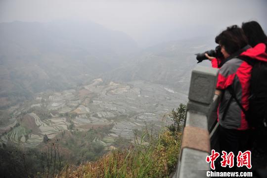 游客在哈尼梯田景区拍照。　刘冉阳 摄