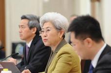 大会发言人傅莹