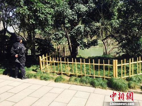 警方：踩踹瘦西湖景区黑天鹅的肇事游客尚未被抓获