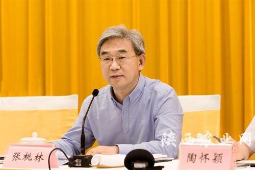 张桃林