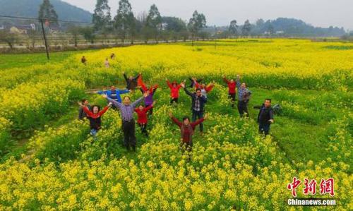 2月14日，广西柳州市融安县大良镇和南村的油菜花花开正盛。在农业部门的指导下，当地农民在油菜花田里种出“稻油油增收梦”字样，吸引了不少游客前来旅游观光。该县摸索出一套“稻油油”(水稻+油葵+油菜)模式，在提高农田的使用率的同时，发展生态农业观光旅游，促进农民增收。谭凯兴 摄