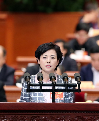 徐晓兰委员作《小小一支笔 谱写大文章》的发言