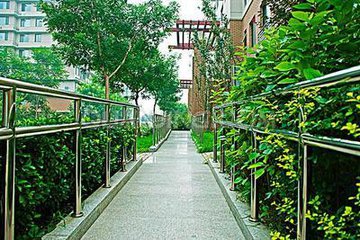 社会福利保障界委员热议无障碍环境建设