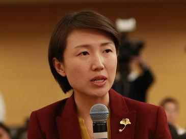 凤凰卫视记者提问“中国是否会主动降速对外投资”
