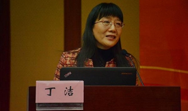 丁洁委员回应“陈凯先之问”