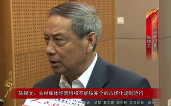 全国政协委员陈锡文：农村集体经营组织不能按完全的市场化规则运行