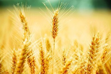 尚勋武委员：让贫困地区农民收入统计更加精准