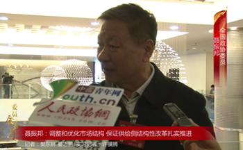 全国政协委员聂振邦：调整和优化市场结构 保证供给侧结构性改革扎实推进