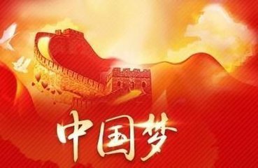 全国政协常委李崴：为国家进步贡献微薄之力