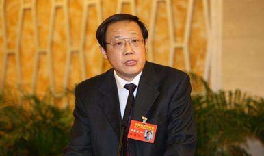 张震宇常委：让科学家成为时代的宠儿