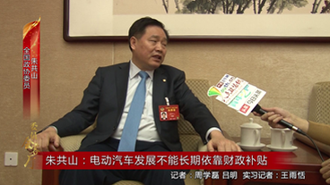 朱共山：电动汽车发展不能长期依靠财政补贴