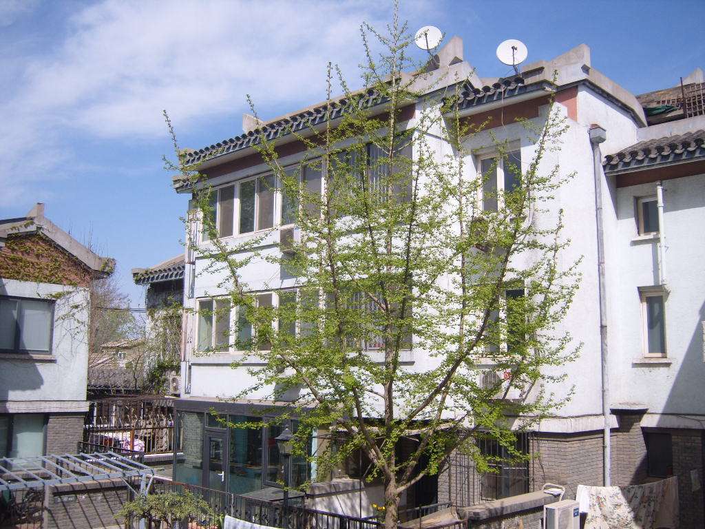王蓉蓉代表呼吁：保护新文物菊儿胡同41号院