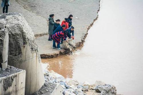 图为十多名市民从市场上买来鲤鱼在放生。