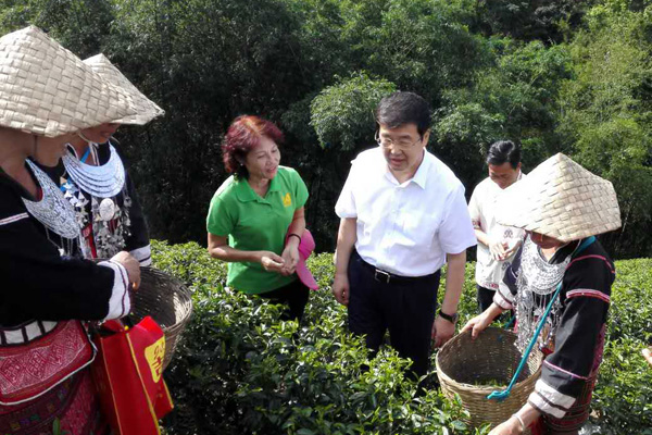 巴特尔在五指山市通什镇番赛村调研少数民族发展资金产业扶贫项目