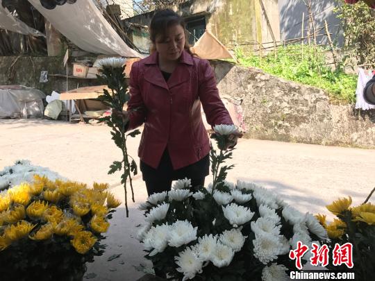 图为市民挑选鲜花为祭扫做准备。　钟旖 摄
