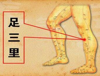针灸哪些穴位可治疗脂肪肝 日常护理5要点