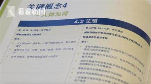 联合国教科文组织发布的《国际性教育技术指导纲要》。