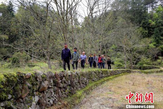 江西修水现300多年历史防洪堤客家移民所筑至今完好
