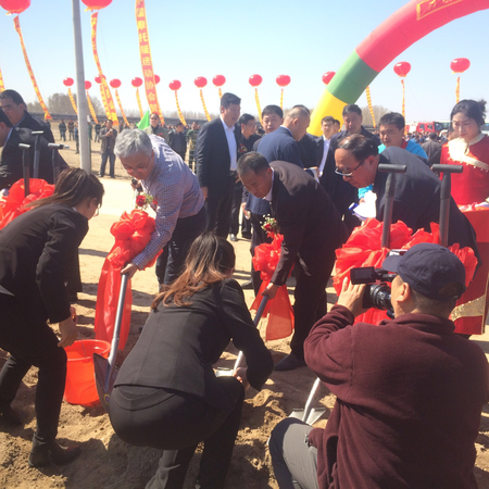 五、应邀前来长岭县参加万顷牡丹种植启动仪式的有关嘉宾亲手栽种牡丹苗。　梓涵　摄影