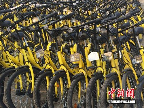 在共享单车维修点，很多共享单车二维码被涂损。<a target='_blank' href='http://www.chinanews.com/' >中新网</a> 吴涛 摄