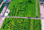 航拍黄土高原连绵油菜花勾勒“嫦娥画卷”