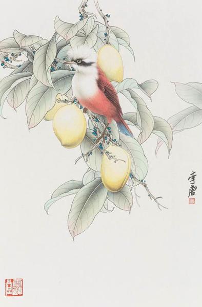 图片