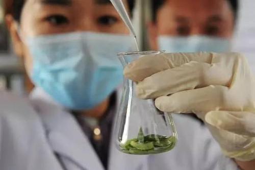 5月起，这8个消息将直接影响你的工作生活