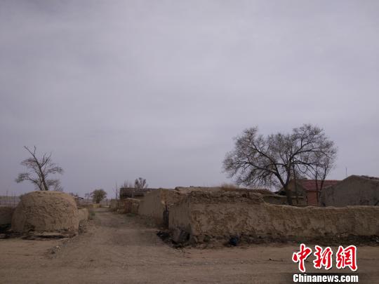 空心化的东号村 陈溯 摄