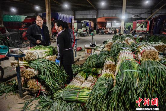 资料图：凌晨4点的通州八里桥批发市场，喧闹异常。 <a target='_blank' href='http://www.chinanews.com/' >中新网</a>记者 富宇 摄