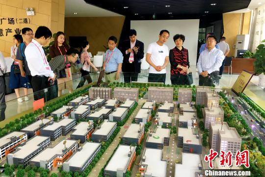侨商在安徽省肥西县考察交流，寻找合作机遇。　张强 摄