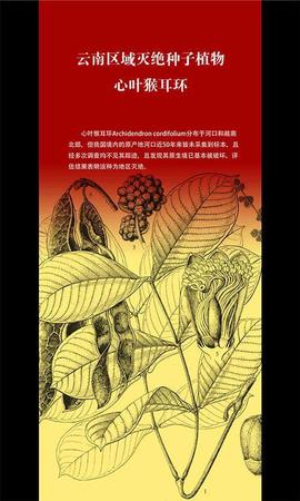云南发首个省级物种红色名录 2625种生存受威胁