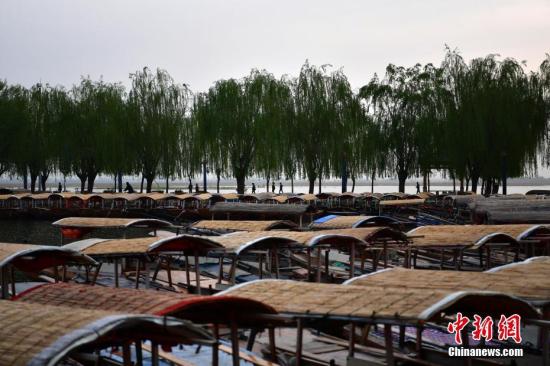 4月16日，雄安新区白洋淀，密密麻麻的手摇游船。<a target='_blank' href='http://www.chinanews.com/'>中新社</a>记者 翟羽佳 摄