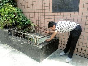 母亲棋牌室打麻将 1岁多儿子不慎翻入水池内溺亡