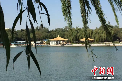 今年4月，北京陶然亭公园内春意盎然。<a target='_blank' href='http://www.chinanews.com/' >中新网</a> 种卿 摄