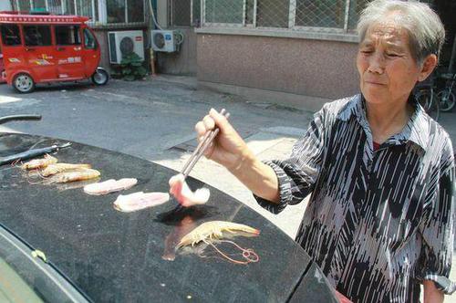 济南高温35度 大妈汽车后备箱上烧烤煎蛋(图）
