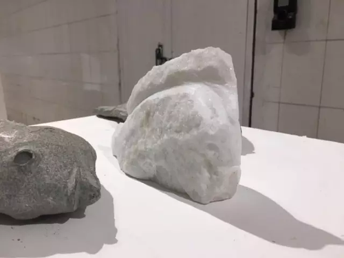 毕业展作品被盗皮皮虾也遭殃 学生贴26个勿触碰