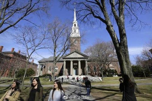 10人被哈佛取消入学资格 因在网上发淫秽血腥内容
