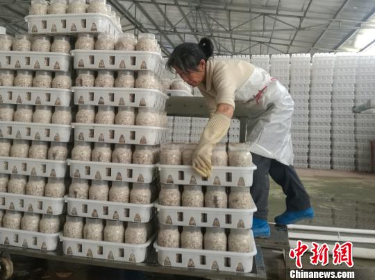 探访赣南新型扶贫基地，休闲农业成脱贫致富“金钥匙”。　苏路程 摄