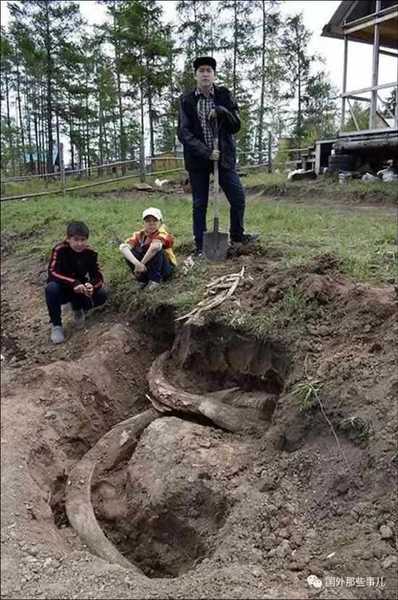 网络配图