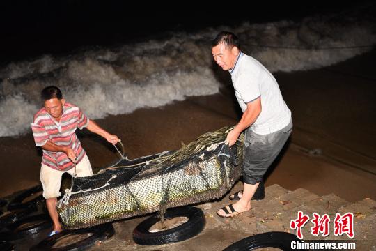 台风“苗柏”在深圳大鹏半岛登陆