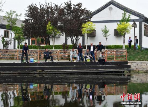 雄安新区白洋淀，垂钓人坐成一排。<a target='_blank' href='http://www.chinanews.com/'>中新社</a>记者 翟羽佳 摄