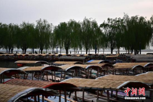 资料图：雄安新区白洋淀，密密麻麻的手摇游船。<a target='_blank' href='http://www.chinanews.com/'>中新社</a>记者 翟羽佳 摄