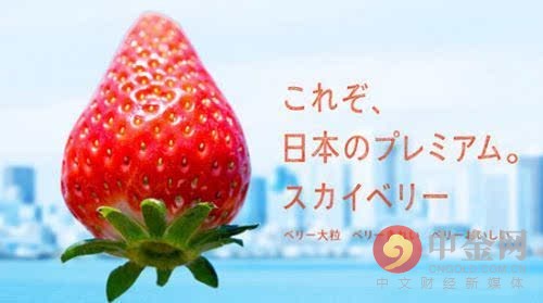 草莓