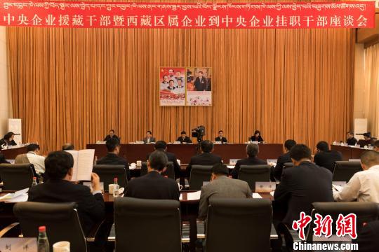 图为6月13日“中央企业援藏干部暨西藏区属企业到中央企业挂职干部座谈会”。　何蓬磊 摄